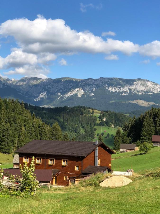 Andolia Villa Moeciu De Sus Buitenkant foto