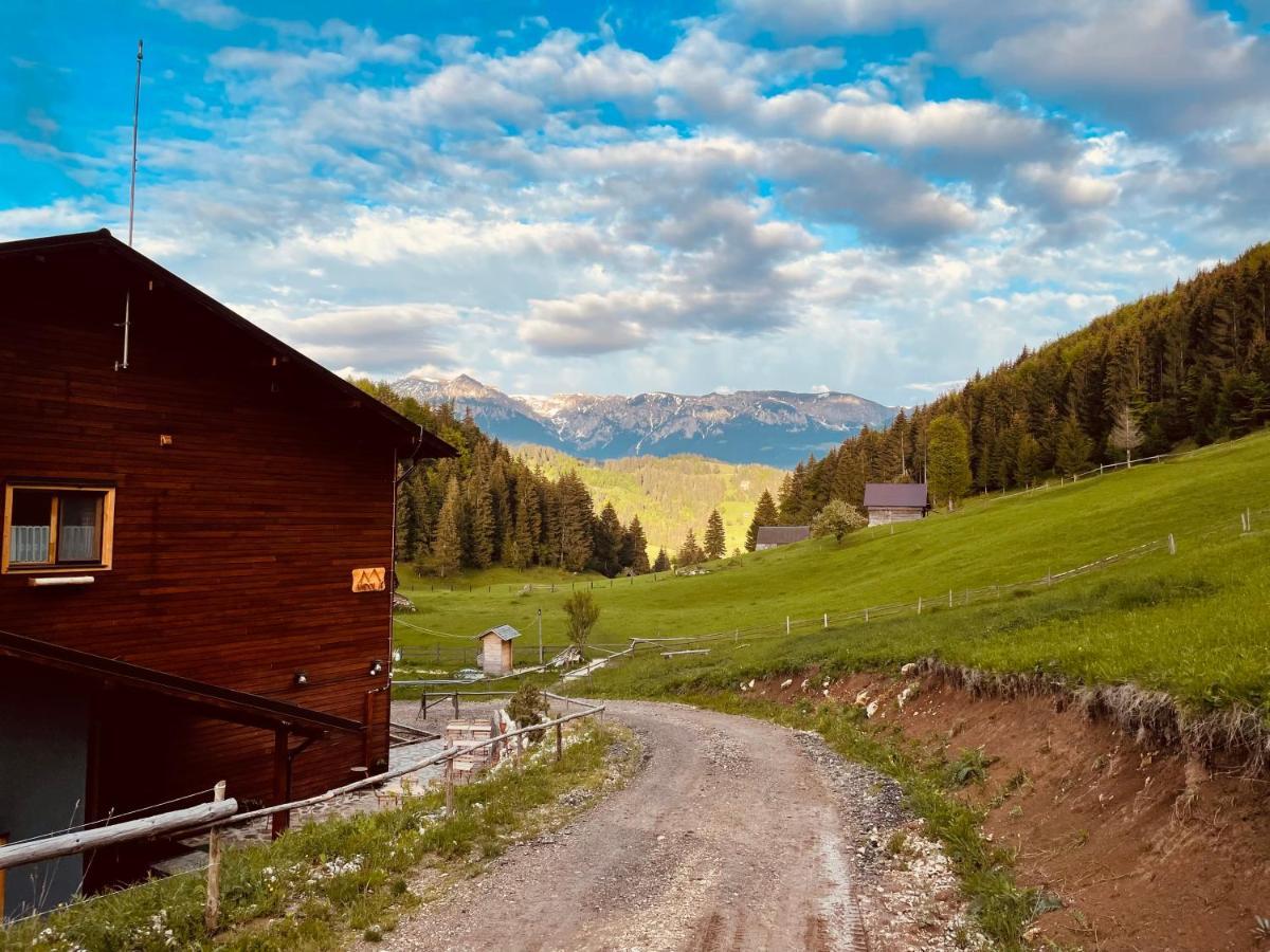 Andolia Villa Moeciu De Sus Buitenkant foto