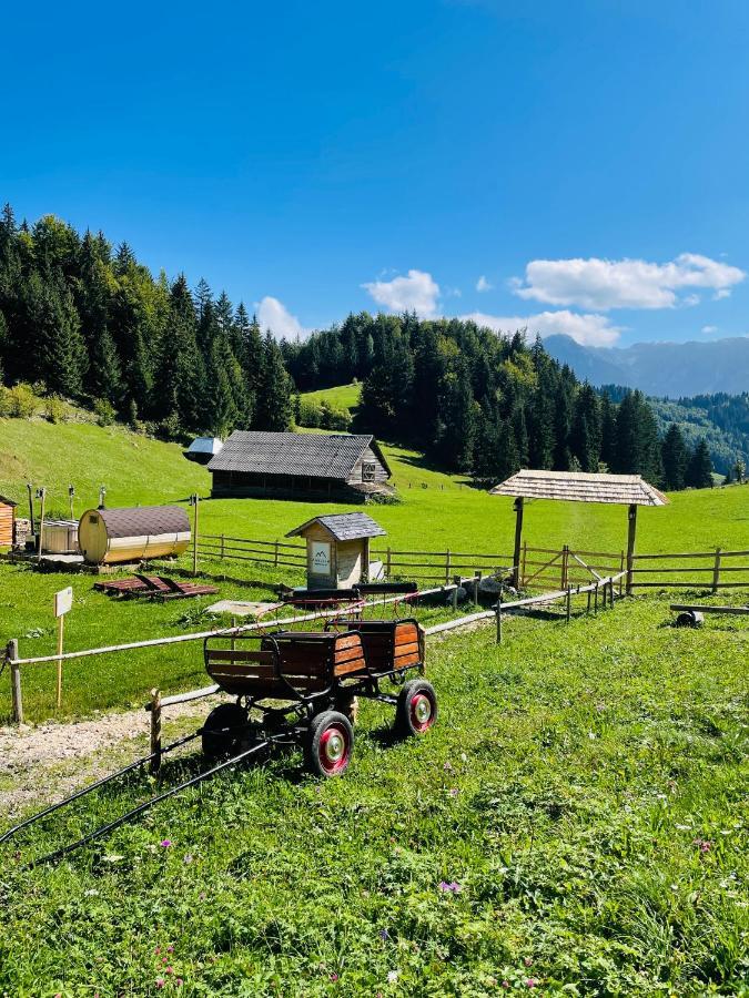 Andolia Villa Moeciu De Sus Buitenkant foto