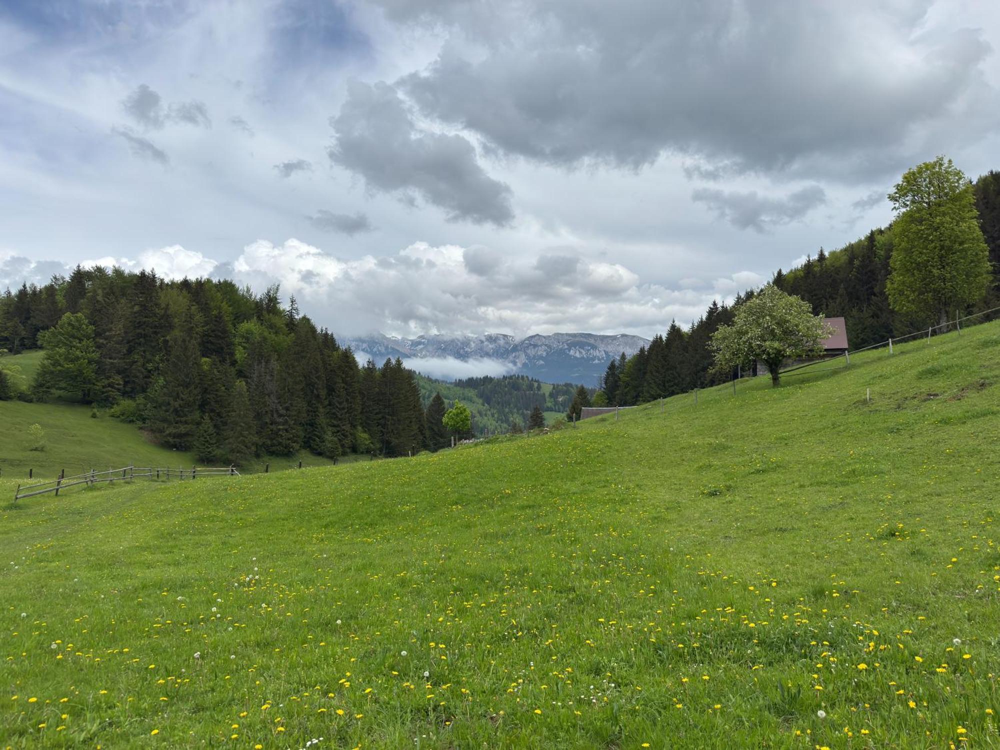 Andolia Villa Moeciu De Sus Buitenkant foto
